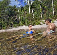 Tjaynera/Sandy Creek Falls - Accommodation Directory