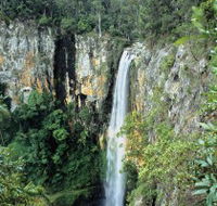 Gondwana Rainforests of Australia - Accommodation Directory