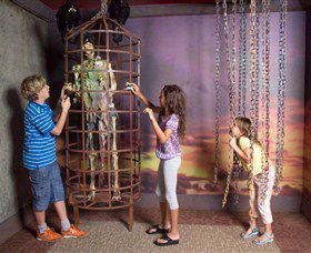 Ripleys Believe It Or Not! Odditorium - Accommodation Directory 0