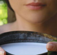 Ikatan Day Spa - Accommodation Directory