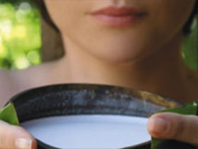 Ikatan Day Spa - Accommodation Directory 0