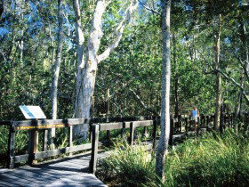 Noosa Heads QLD Accommodation Directory