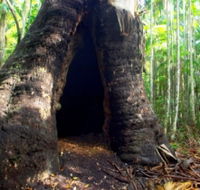 Tewantin National Park - Accommodation Directory