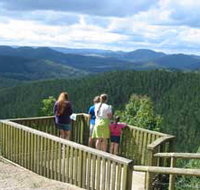 Kenilworth Forest Reserve - Accommodation Directory