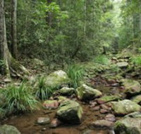 Amamoor State Forest - Accommodation Directory