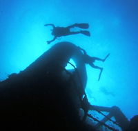 Ex HMAS Brisbane Dive Site - Accommodation Directory