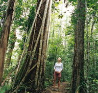 Wet Tropics - Accommodation Directory