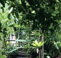 Flecker Botanic Gardens - Accommodation Directory