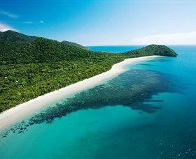 Cape Tribulation, Daintree National Park - Accommodation Directory 0