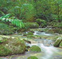 Mossman Gorge Daintree National Park - Accommodation Directory