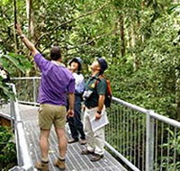 Daintree Discovery Centre - Accommodation Directory