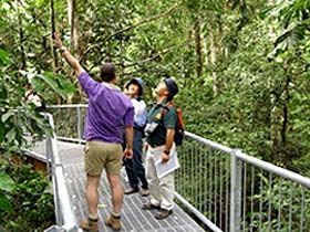 Daintree Discovery Centre - Accommodation Directory 0