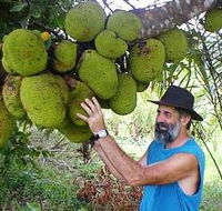 Cape Trib Exotic Fruit Farm - Accommodation Directory