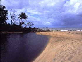 Russell River National Park - Accommodation Directory 0