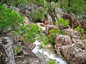 Crows Nest National Park - Accommodation Directory 0