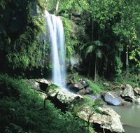 Curtis Falls Joalah Section - Accommodation Directory