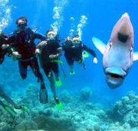 Gotham City Dive Site - Accommodation Directory