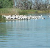 Lake Ross - Accommodation Directory