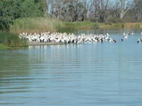 Lake Ross - Accommodation Directory 0