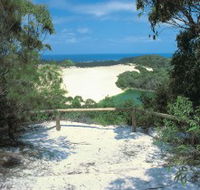 Lake Wabby Track - Accommodation Directory