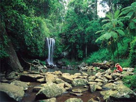 Tamborine National Park - Accommodation Directory 0