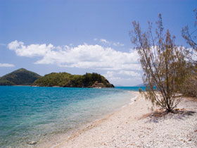 Paddle Bay Track And Campsite - Accommodation Directory 0