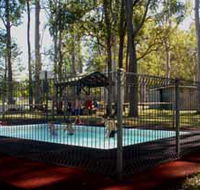 Teddington Weir and Picnic Reserve - Accommodation Directory