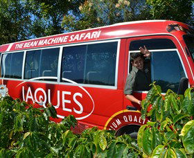 Jaques Coffee Plantation - Accommodation Directory 0
