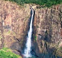 Gugigugi Butterfly Walk Wet Tropics Great Walk - Accommodation Directory