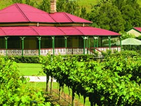 OReillys Canungra Valley Vineyards - Accommodation Directory 0