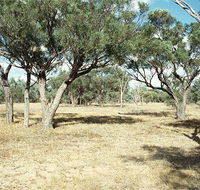 Forest Den National Park - Accommodation Directory