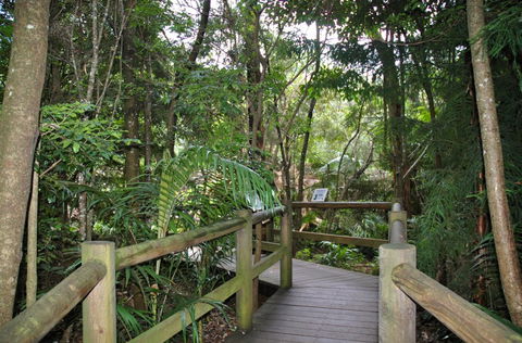 Cedar Creek Estate - Accommodation Directory 1