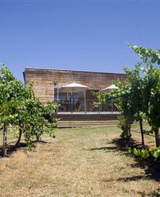 Shantell Vineyard - Accommodation Directory 0