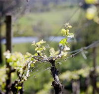 Downing Estate - Accommodation Directory