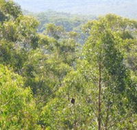 Bunyip State Park - Accommodation Directory