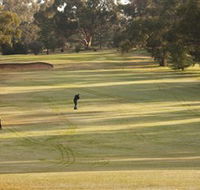 Cohuna Golf Club - Accommodation Directory