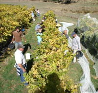 Blakes Estate Winery - Accommodation Directory