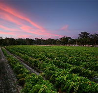 Amherst Winery - Accommodation Directory