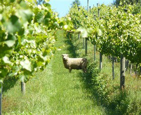 Passing Clouds - Accommodation Directory 0