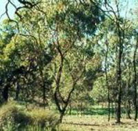 Leaghur State Park - Accommodation Directory