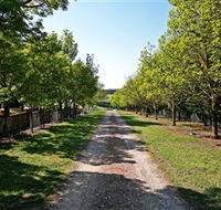 Waybourne Winery - Accommodation Directory