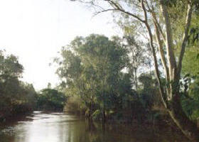 Banksia Park - Accommodation Directory 0