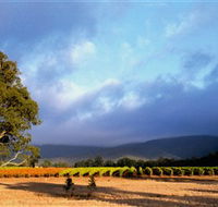 Mount Avoca - Accommodation Directory