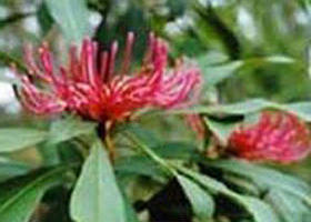 Alfred National Park - Accommodation Directory 0