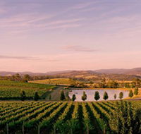 Oakridge Wines - Accommodation Directory