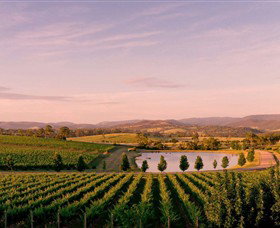 Oakridge Wines - Accommodation Directory 0