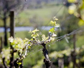 Eldridge Estate Of Red Hill - Accommodation Directory 0