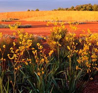 Royal Botanic Gardens Victoria Cranbourne - Accommodation Directory