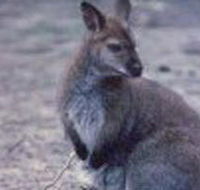 Churchill National Park - Accommodation Directory