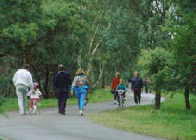 Birrarrung Park - Accommodation Directory 0